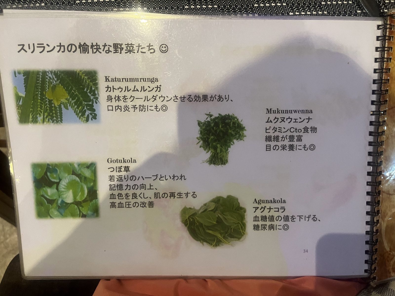 スリランカの野菜を紹介する日本語のカード