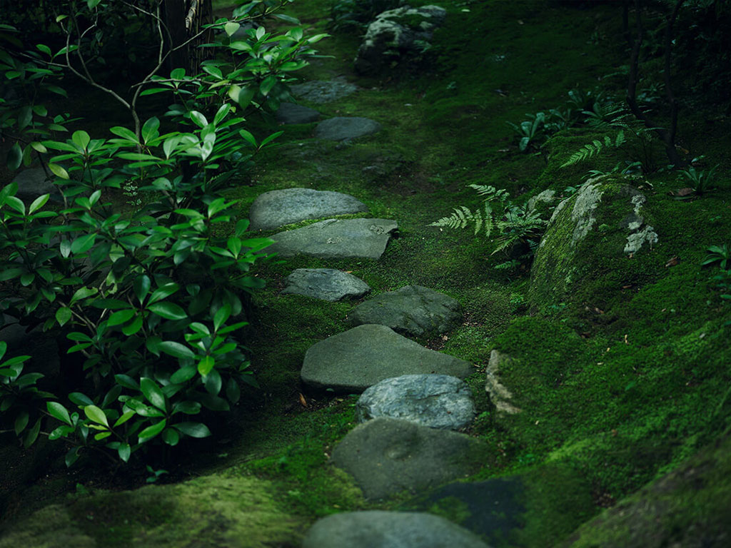べにや無何有