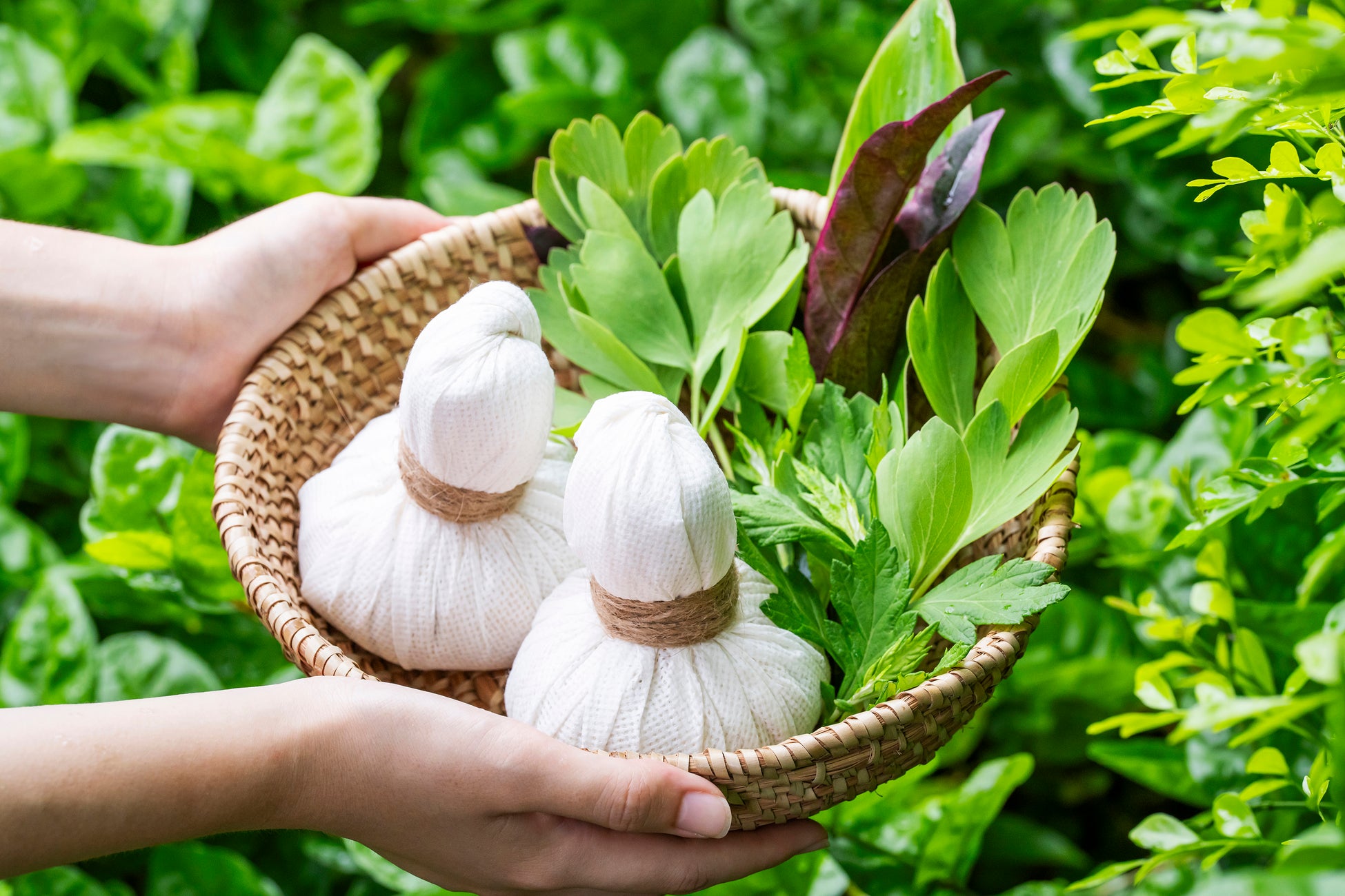 かごに入った白い布包みのハーブボールと、摘みたての命草の葉