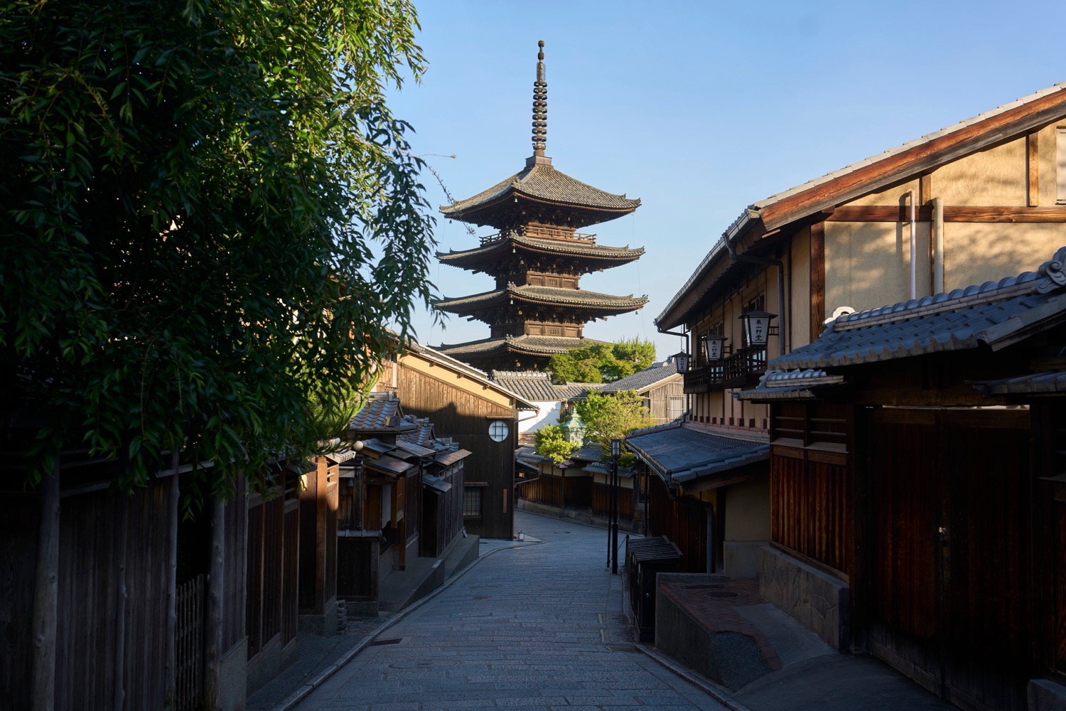 朝の光に照らされた石畳の坂道と、その先に建つ八坂の塔