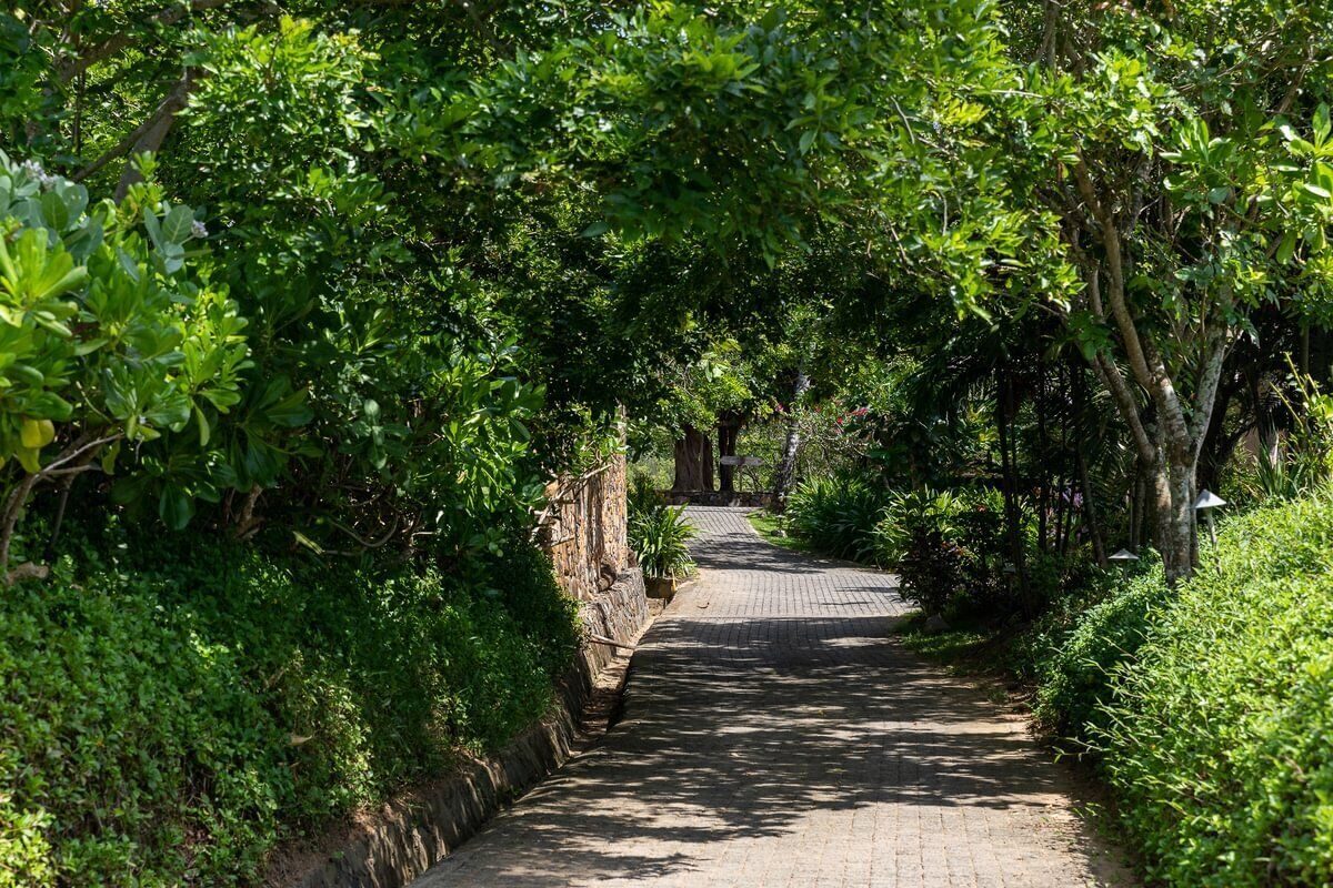 ケープ ウェリガマ:庭園の小道