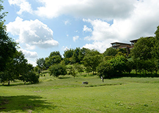 保健農園ホテルフフ山梨