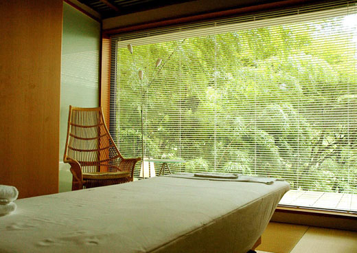 Hortensia SPA