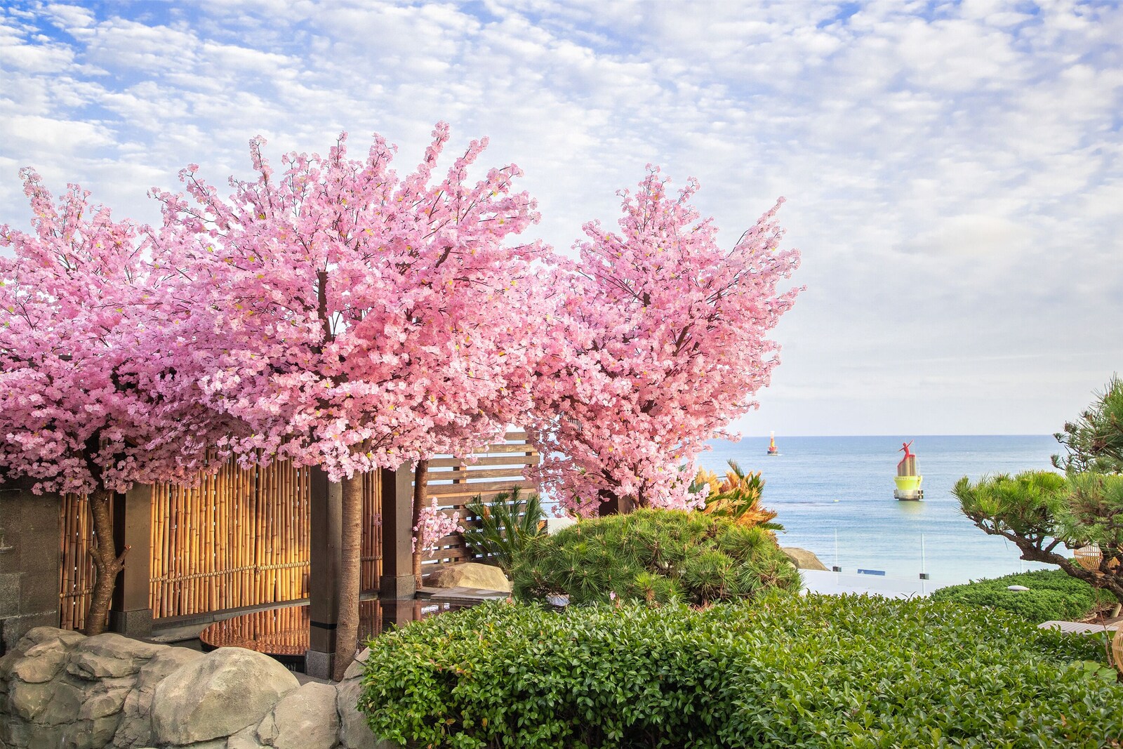 パラダイス ホテル釜山：桜の咲く庭と海