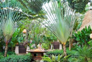 熱帯ジャングルでタイ式一流トリートメントを体験「ピマライリゾート＆スパ・Pimalai Resort & Spa」